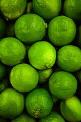 Collection of green  limes background