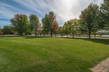 Start of fall colors in park