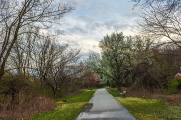 Pathway through quiet New Jersey park with trees in early spring bloom and overcast sky. USA.