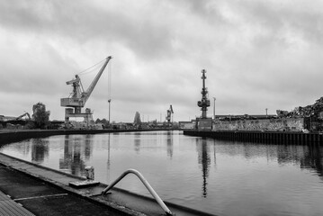 cranes in the harbor