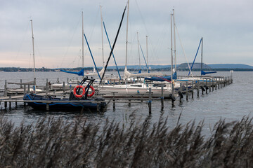 sailboats in the marina
