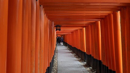 京都伏見稲荷の千本鳥居