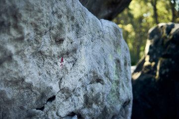 Unique rock formation with a subtle marker amidst lush greenery in a tranquil outdoor setting