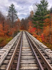 Obraz premium Adirondack railroad