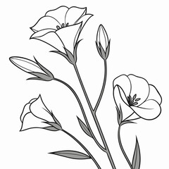 A simple yet elegant line drawing of three delicate flowers, perfect for adding a touch of nature to your designs. This graceful illustration can be used for various purposes.