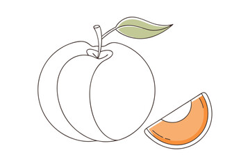 Vibrant Line Color Drawing of Peach with Slice Vector Illustration