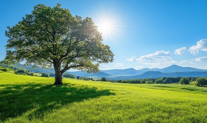 Fototapeta premium Vibrant green meadow with a large tree under a sunny sky and distant mountains