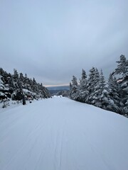 Ski Trail
