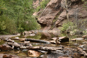Fototapeta premium Broken tree branches and rocks in forest river by cliff bottom