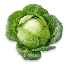 Fototapeta premium Fresh green cabbage head isolated transparent background