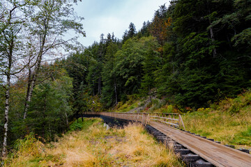 wooden bridge in the forest on hiking trail