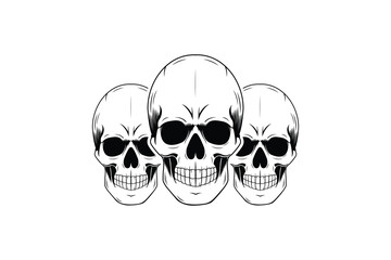 human skull vector on white background with drawn skull silhouette