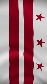 District of Columbia Waving Flag in Vertical Orientation. Realistic Flag Animation. Seamless Loop Background.