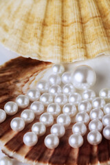 Beautiful white sea pearls on a white backdrop