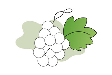 Elegant Line Drawing of White Currant Vector Illustration