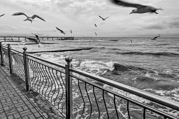 Promenade along the sea. Seagulls circle over the sea. Selective focus.