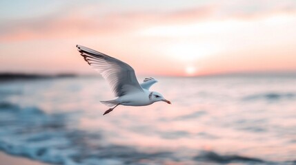 Fototapeta premium A seagull gracefully soars over the ocean at sunset, with soft pastel hues painting the sky and sea, evoking freedom.