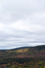 Autumn Forest Landscape under Cloudy Sky