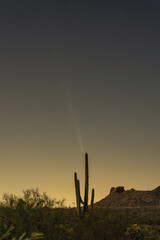 A comet soars through the night sky