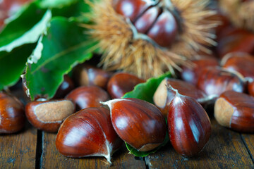 Chestnuts with leaves and burs on a wooden table