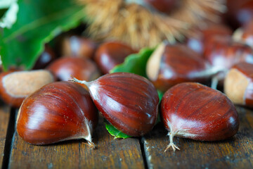 Chestnuts with leaves and burs on a wooden table
