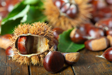 Chestnuts with leaves and burs on a wooden table