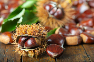Chestnuts with leaves and burs on a wooden table