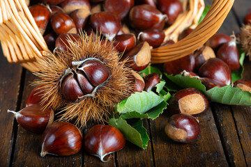Chestnuts with leaves and burs on a wooden table