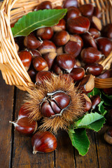 Chestnuts with leaves and burs on a wooden table