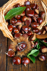 Chestnuts with leaves and burs on a wooden table