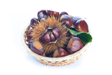Chestnuts with leaves isolated on a white background

