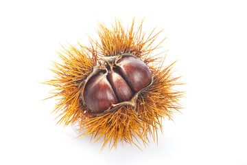 Chestnuts with leaves isolated on a white background
