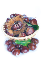 Chestnuts with leaves isolated on a white background
