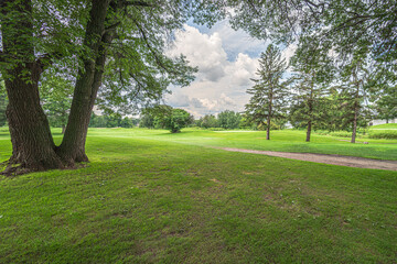 Park in the summer