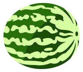 Watermelon, fruits, berries, berry, food and meal, illustration