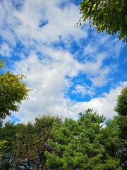 하늘, 구름, 푸름, 자연, 맑음, Sky, Clouds, Blue, Nature, Clear
