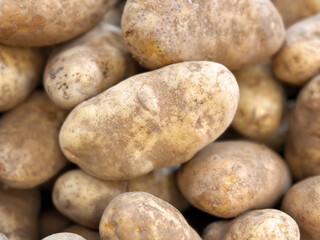 Russet potatoes