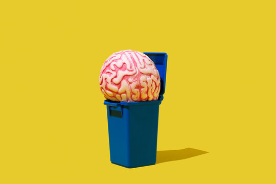 brain in a trash can