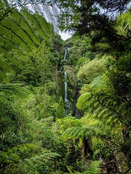 Waterfall through ferns
