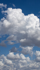 Fototapeta premium blue sky with clouds
