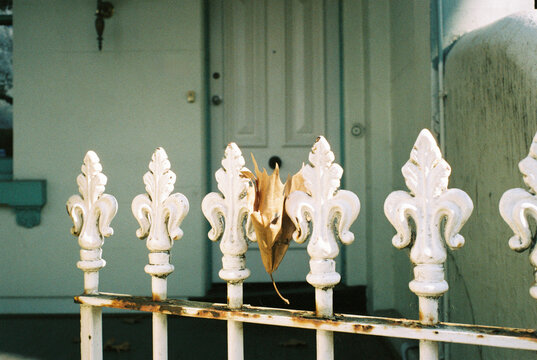 Autumn leaf caught on a decorative white fence