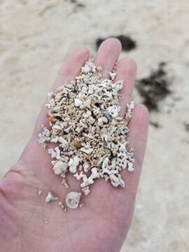 Outstretched hand holding sand made of tiny bits of coral