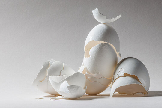 Eggshells