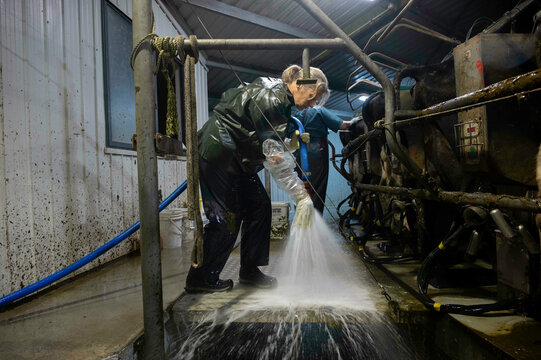 Hosing down the dairy