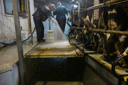 Hosing down the dairy
