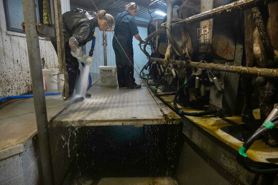 Hosing down the dairy