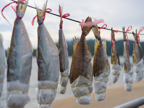 Dried Fish Hanging on a Line Outdoors