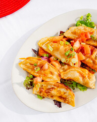 Fried Dumplings on plate with green onions 