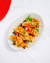 Fried Dumplings on plate 