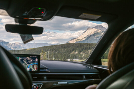 Forest Road Trip